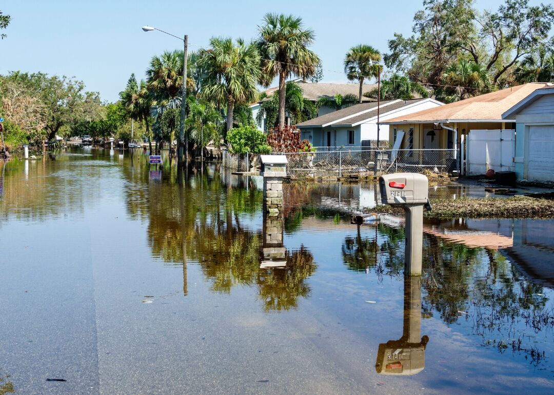 #5. Irma